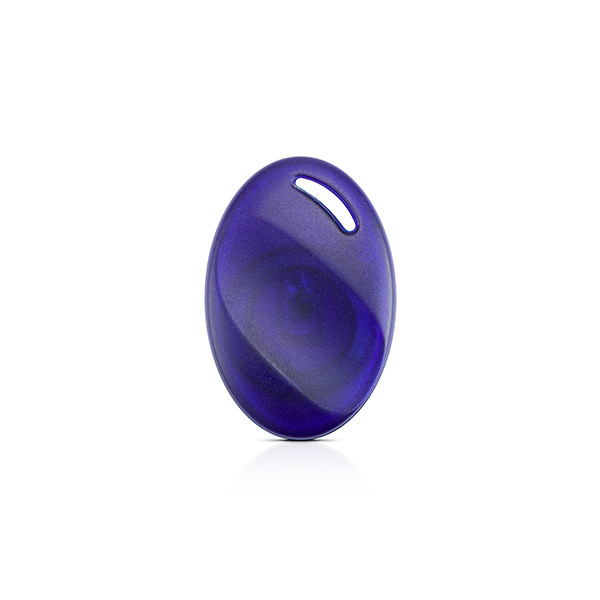 Satel BR-STD-1 RFID bezkontaktní elektronická klíčenka